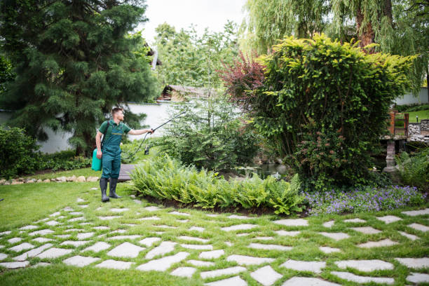 Best Pest Prevention Services  in Fountain Hills, AZ