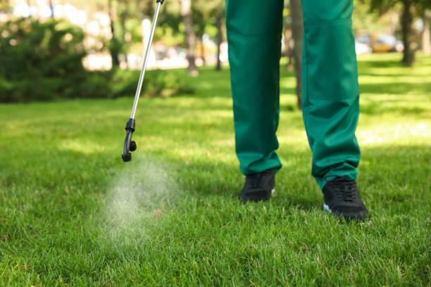Best Mosquito Control Services  in Fountain Hills, AZ